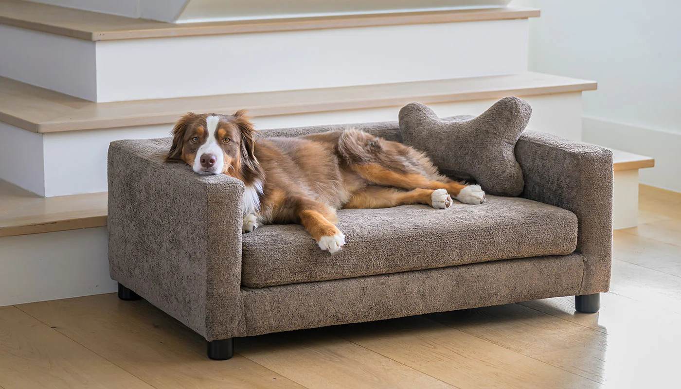 Dog Sofa - Image 7